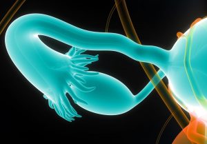 فیزیوتراپی در نازایی